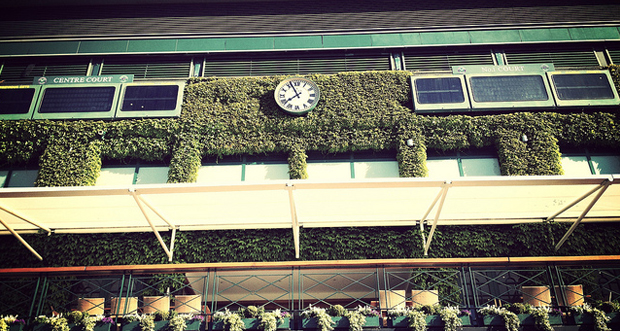 Wimbledon Day 8: Order of Play & Scores