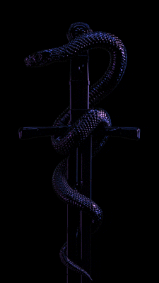0F1EBE44-836F-4D53-9F07-BD7FE62C4A12.gif