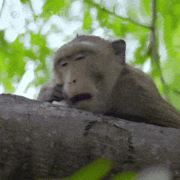 1737907909059.gif