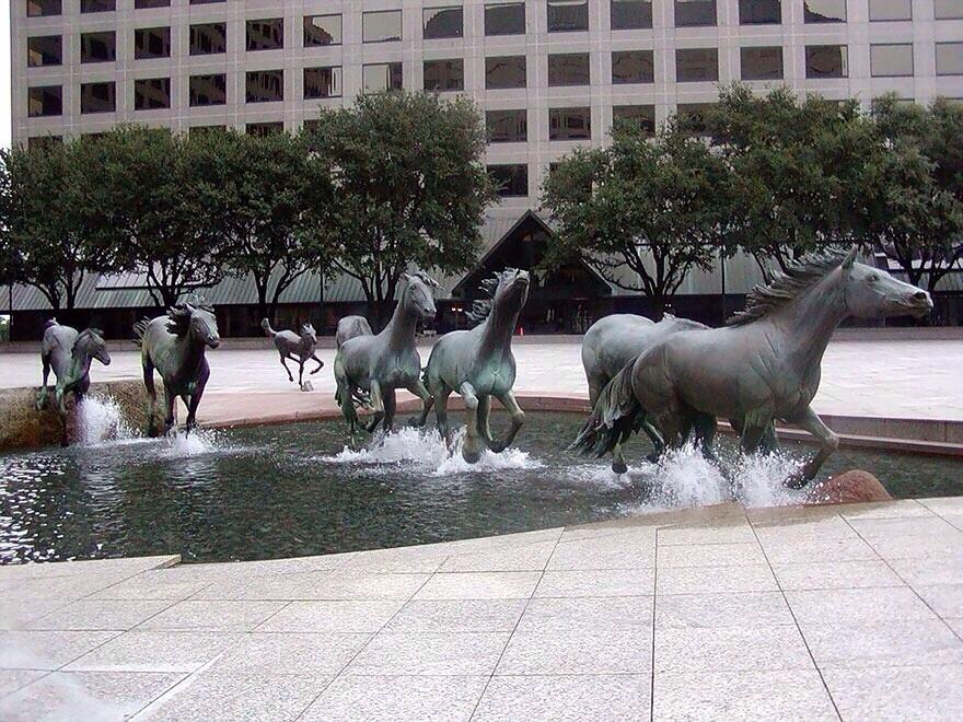 image.jpeg