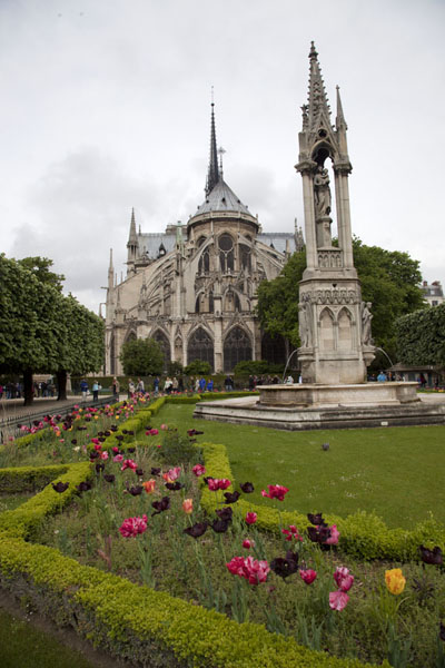 notre-dame-de-paris06.jpg